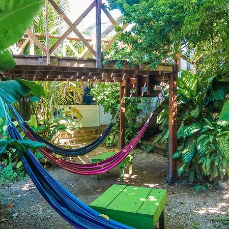 Ciao Cacao Hostel & Vegan Cafe Flores Luaran gambar