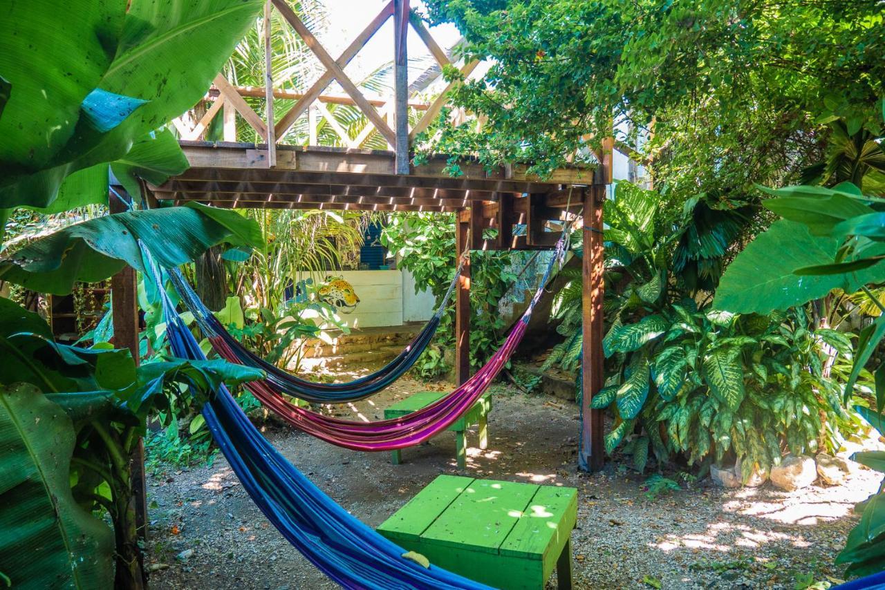Ciao Cacao Hostel & Vegan Cafe Flores Luaran gambar