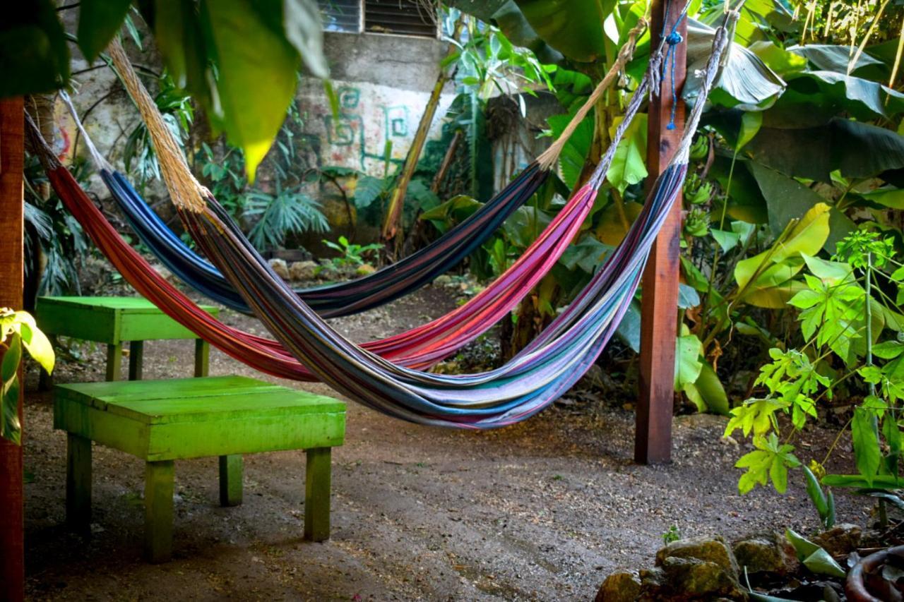 Ciao Cacao Hostel & Vegan Cafe Flores Luaran gambar