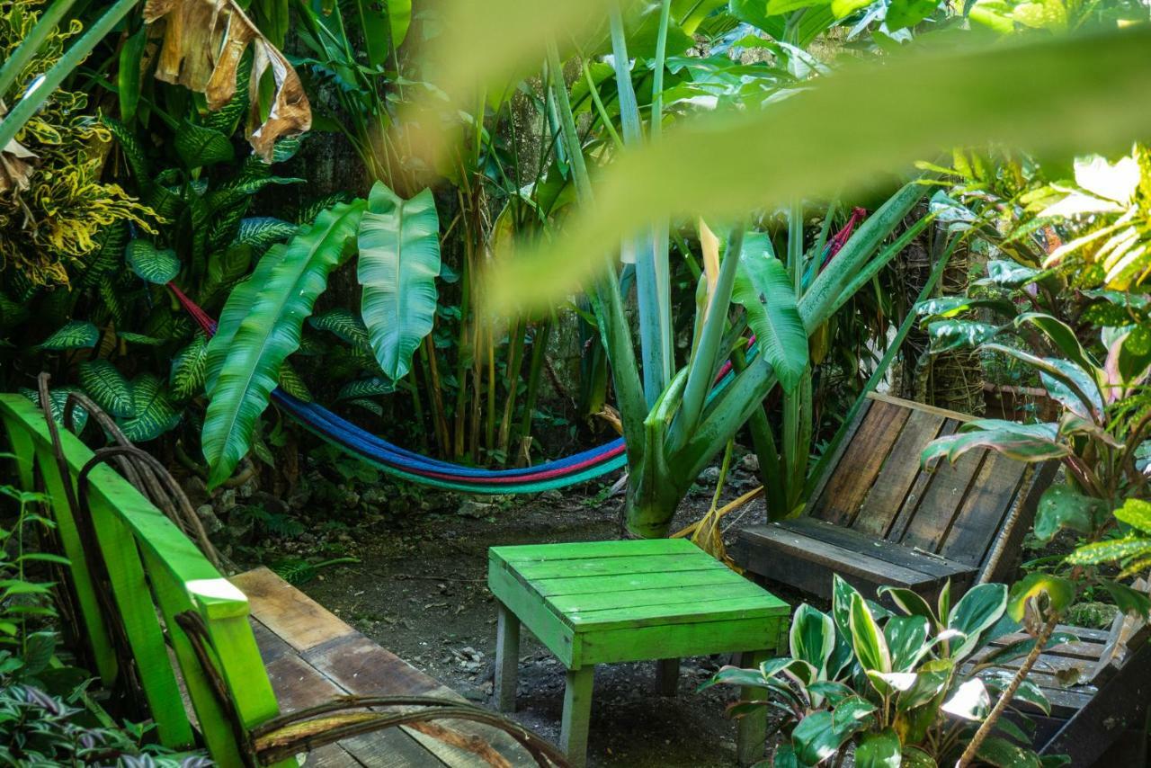 Ciao Cacao Hostel & Vegan Cafe Flores Luaran gambar
