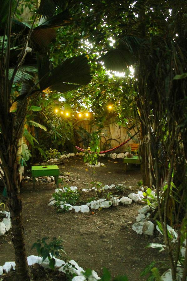 Ciao Cacao Hostel & Vegan Cafe Flores Luaran gambar