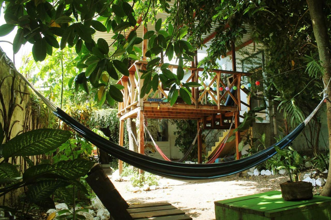Ciao Cacao Hostel & Vegan Cafe Flores Luaran gambar