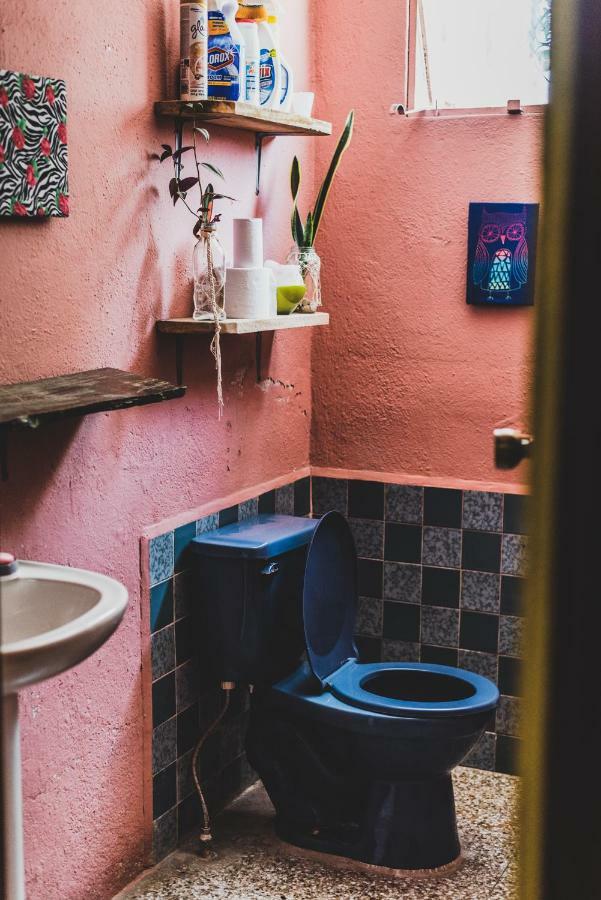 Ciao Cacao Hostel & Vegan Cafe Flores Luaran gambar